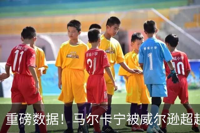 重磅数据！马尔卡宁被威尔逊超越，队史年轻记录再改写